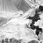 'Shifting Grounds: I Tremor (2)', 2011