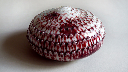 Waratah Bulb