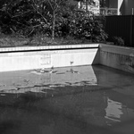 From The Series A Sense Of Place, 2011