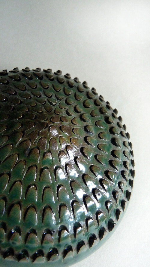Waratah Bulb