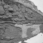 Fish No. 2 (Detail)