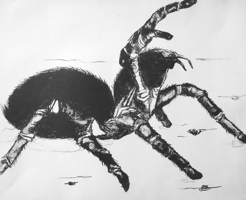 Aibopohncara, 2010, Lithograph, Edition/6