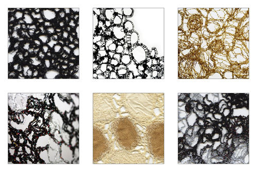 Love Lace (2010)