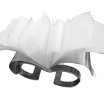 Significant Ring: "Movement" 