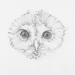 Owlette