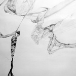 Perception Of Absence