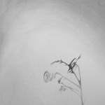 Shadow Play With A Weed