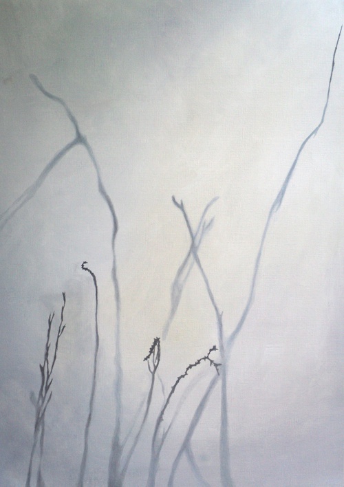 Shadow Play With Twigs