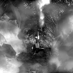 Dark Forest
