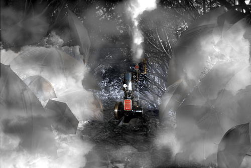 Dark Forest