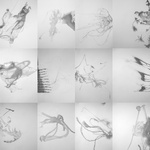 Holes In The Light: Twelve Shadow Studies