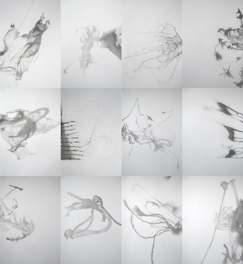 Holes In The Light: Twelve Shadow Studies