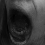 Silent Scream Series