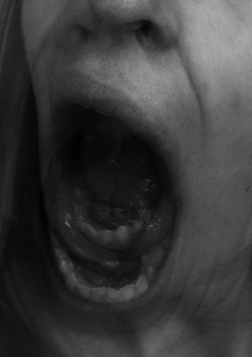 Silent Scream Series