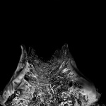 Emergence (2011)