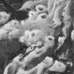 (Detail) Deep In Shadow