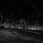 Untitled 5 (In The Event Of Absence)