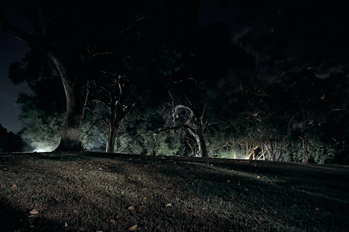 Untitled 5 (In The Event Of Absence)