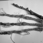 Bones & Roots