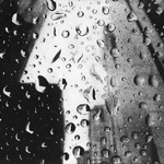 Rhythm Of Rain