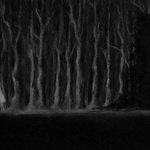 Atropos