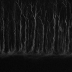 Background, Atropos