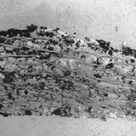 The Trace Of A Tree, Two