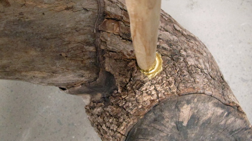 The Hidden Interior Of A De(Constructed) Forest