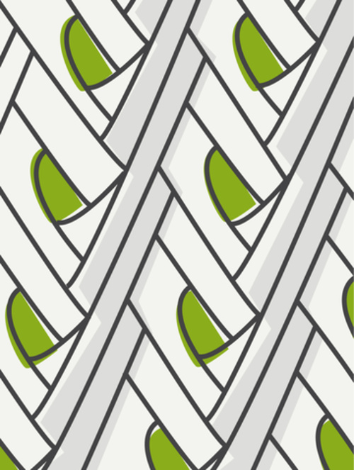 Leek