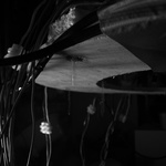 Diffuse #1