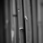 Diffuse #2