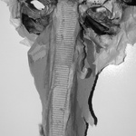Paperbark Mask