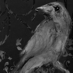 Never More (Detail)