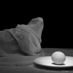 Dove With Egg