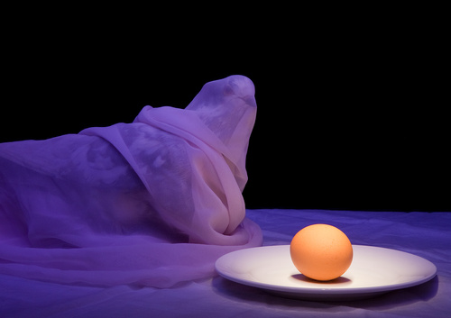 Dove With Egg