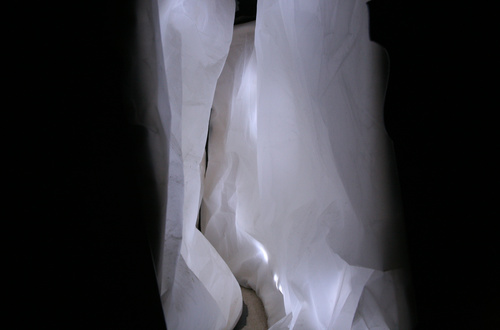 Crevice Light