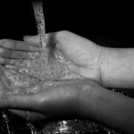 Imprint Of Life: Life (2011)