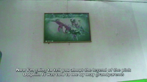 Story Of The Pink Dolphin
