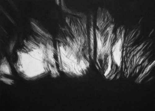Momentum Is The Only Constant (2011) 