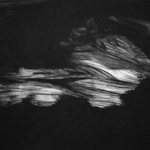 Momentum Is The Only Constant (2011) 