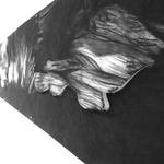 Momentum Is The Only Constant (2011) 