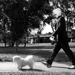 The Dog Walk.