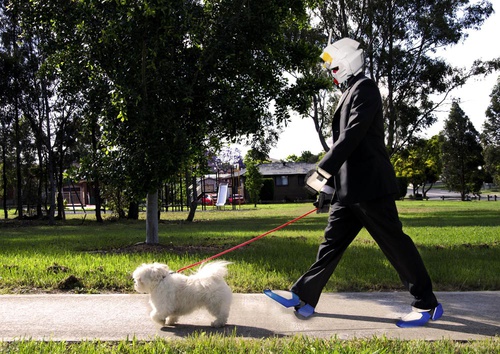 The Dog Walk.