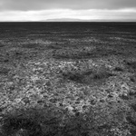 The Aesthetics Of Silence, 2011