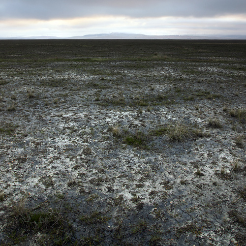 The Aesthetics Of Silence, 2011
