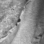In Touch   Skins 1 (Detail)