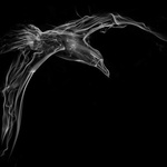 Fade:  Plastically Wasted 