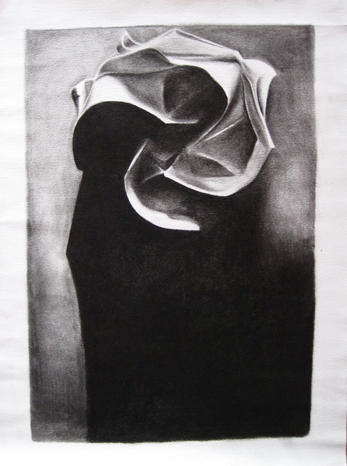 A Kawasaki Rose