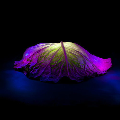 Sculpted By Light
