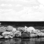 Yesterday's Daydream 